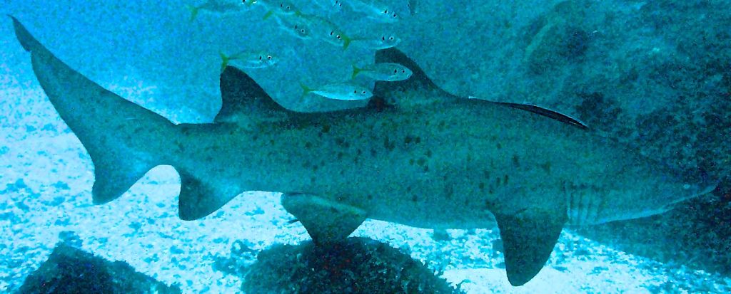 180d7300-b543-4eac-b3e2-a999c7f85026