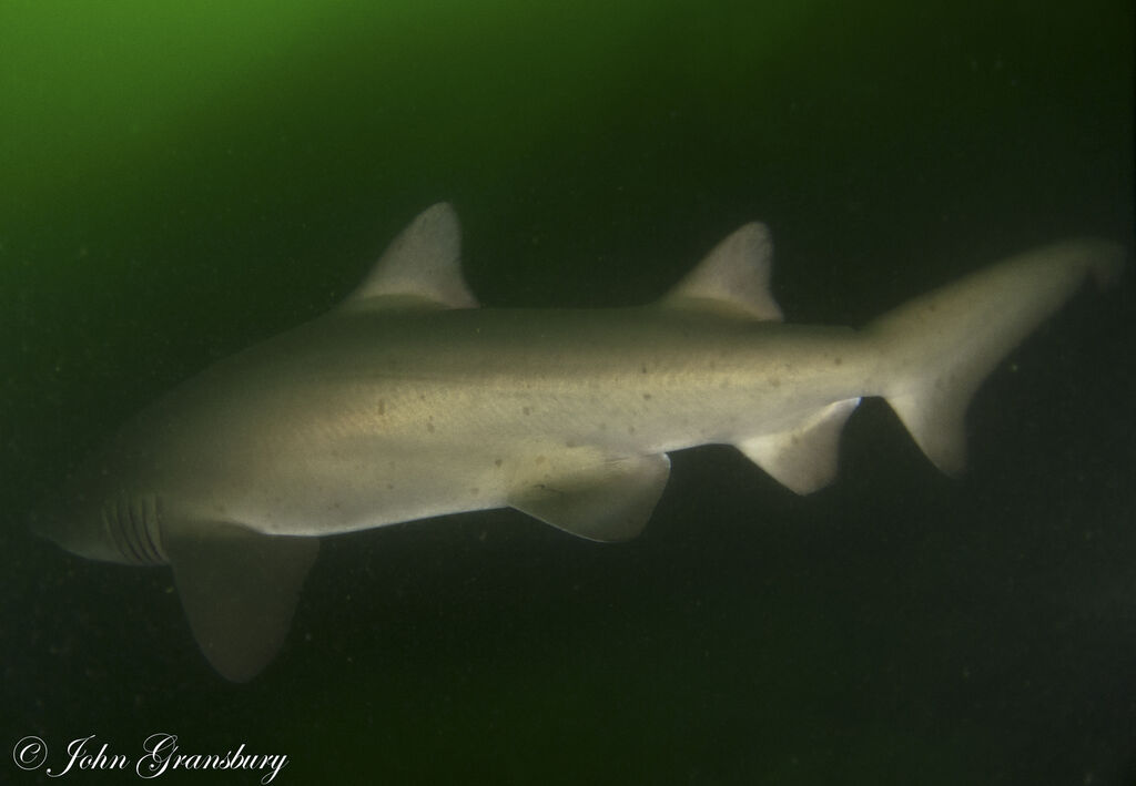 95300620-0c89-40c7-8097-48cbf169acad