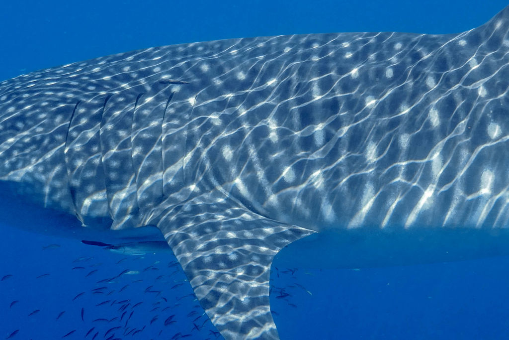 3e5c8688-5ad6-456e-bd31-12e3ed3a45bb