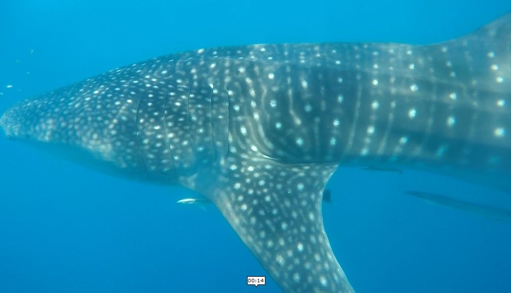 73b01ea5-3b97-4a66-a8c5-aa6cddb929c1