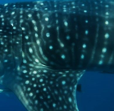 73b01ea5-3b97-4a66-a8c5-aa6cddb929c1