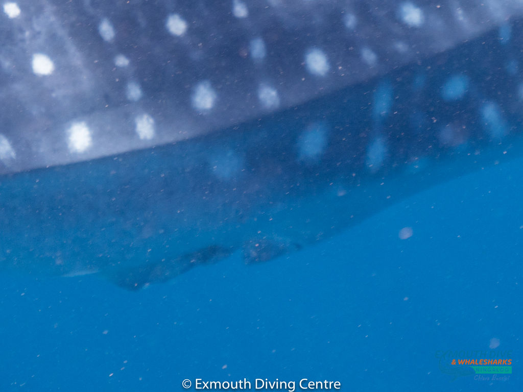 51260148-7919-49e4-96e7-ae35dabc2b25