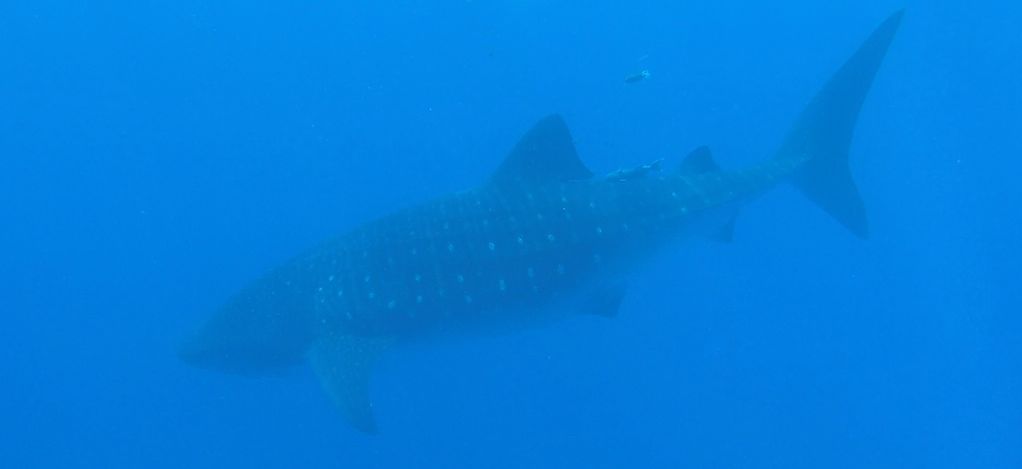 4fe03ea6-fb80-400b-bfb3-11e07c10e11a