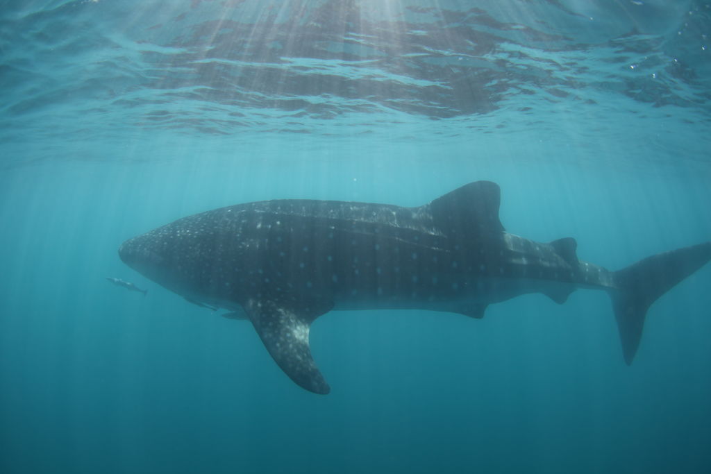 37d9ddf7-461c-45cc-aa5d-c6dd5a7013f6