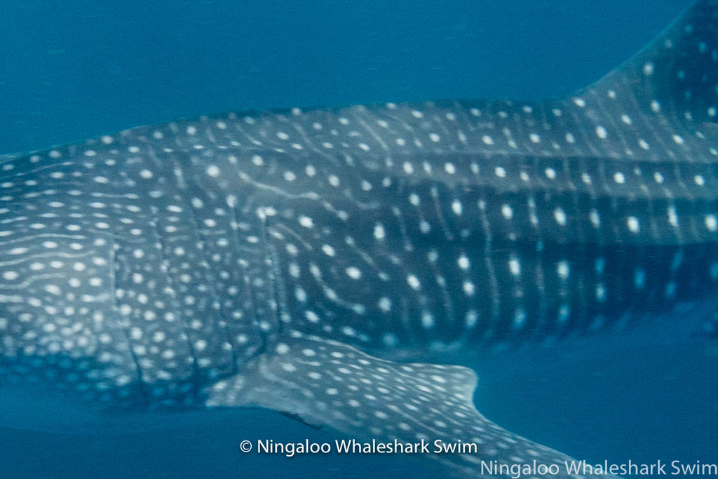 f5e52631-b895-495e-9e3f-41cfee01ed3b