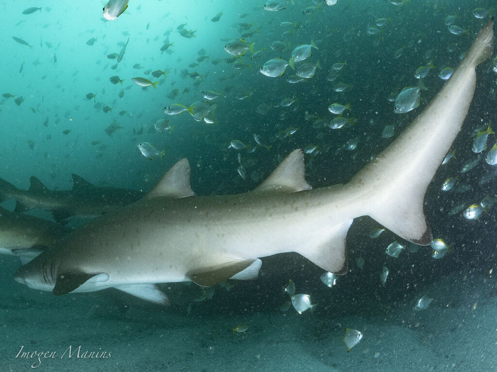 0a0b5bec-44d4-4873-9ff1-eae1718e62e0