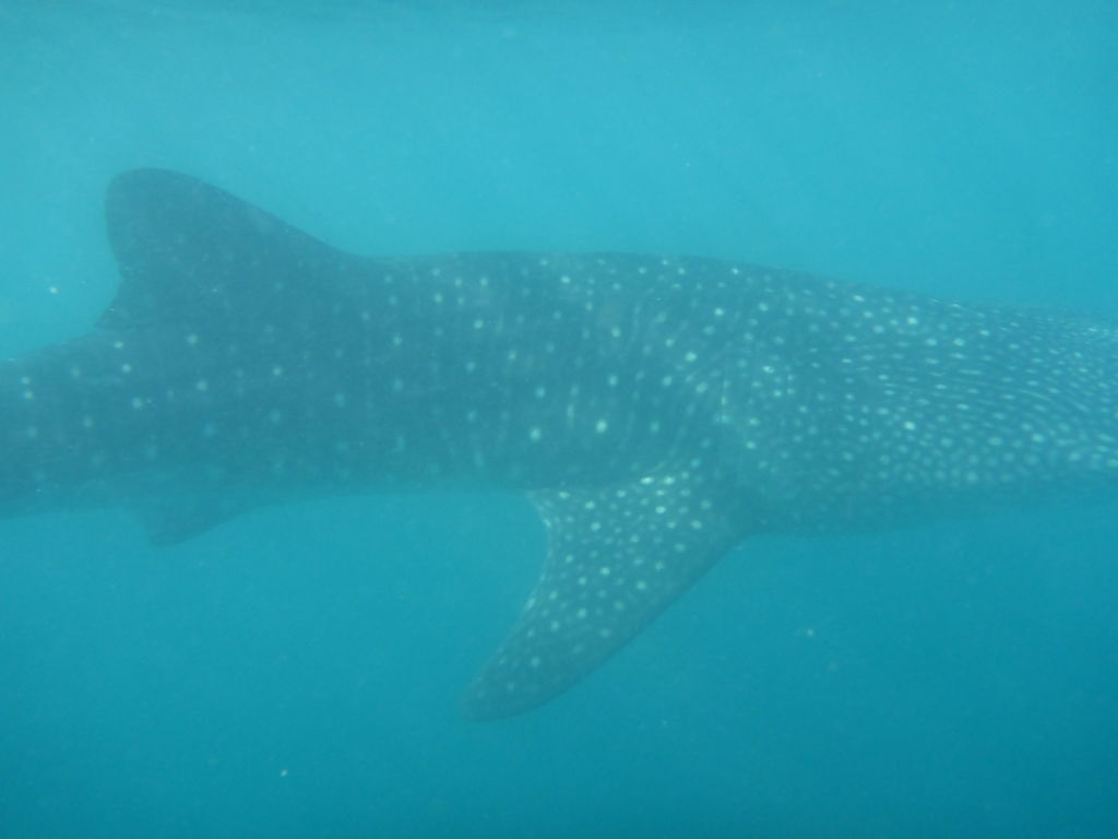 55d54fc1-c88e-4e0a-9b61-fec900d3896d