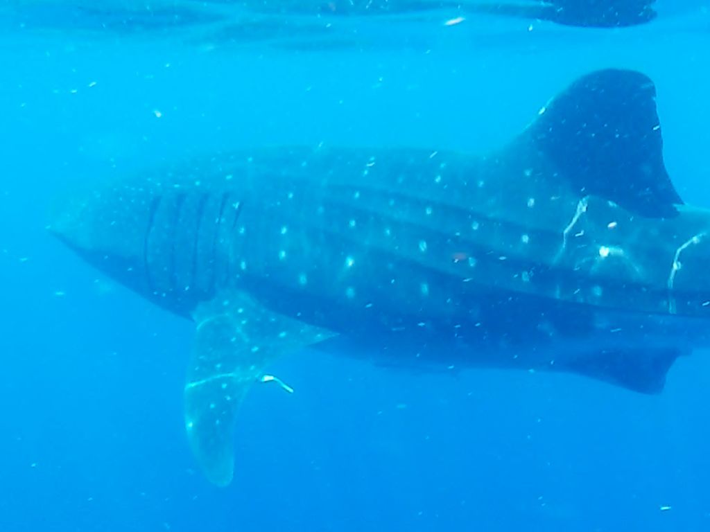 05faa319-8be9-49c5-9465-25a4564249be