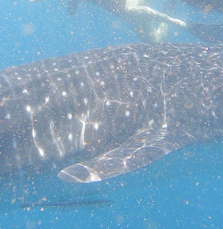 76c1508a-0510-470a-871e-10c0e1900812