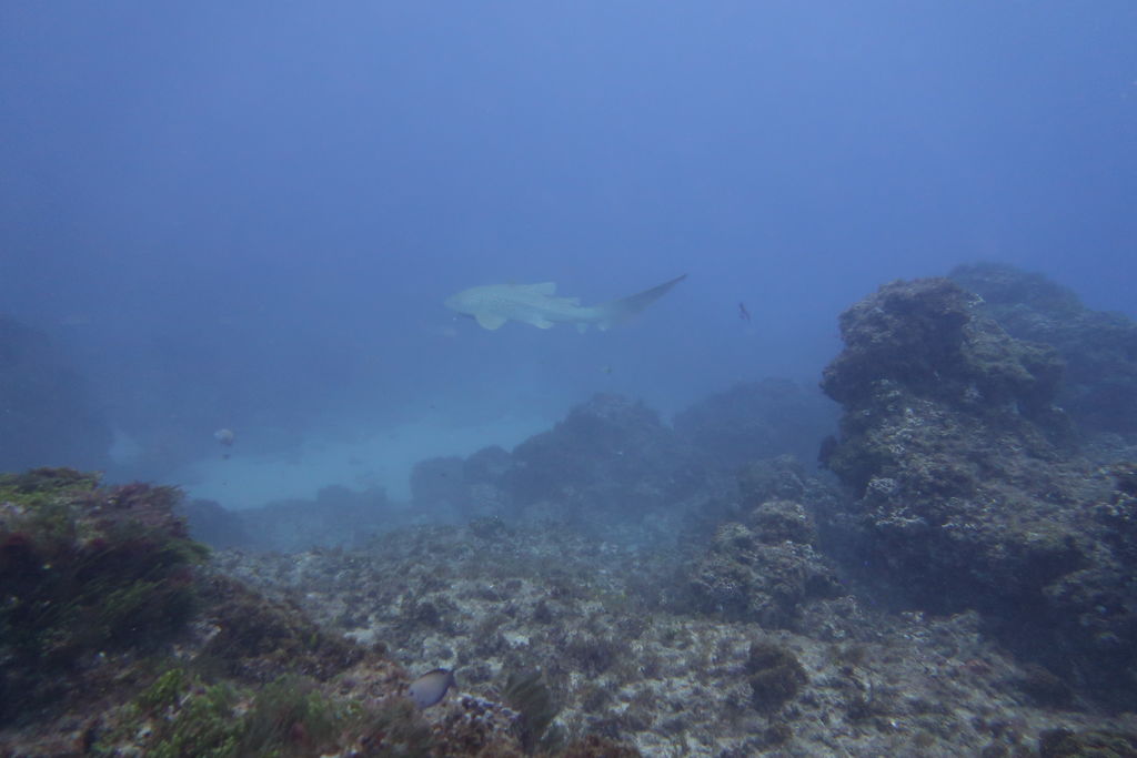 0028c519-65c2-4da1-ac46-49b0c1b58b65