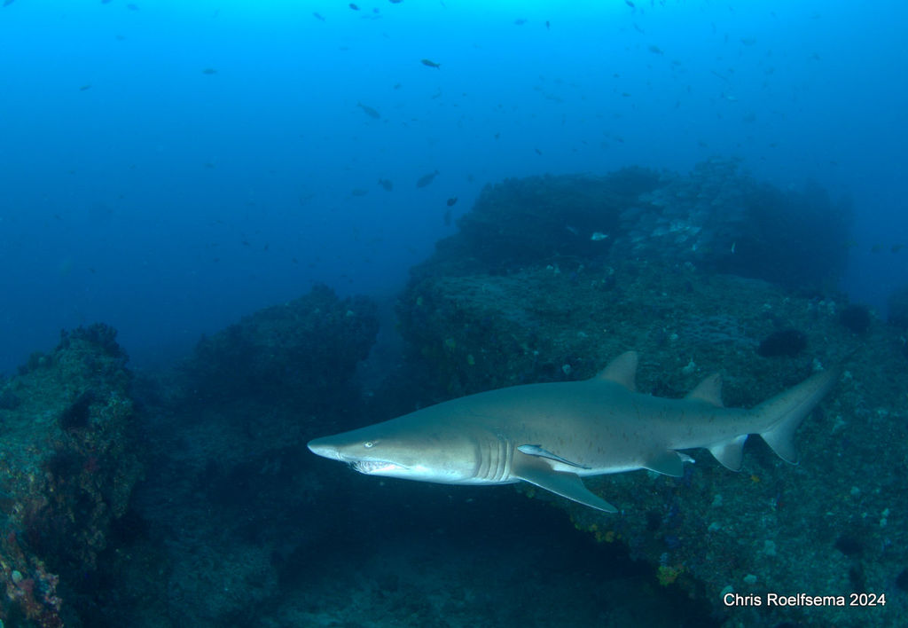 52a010f7-5c16-4e02-bdd6-6cd45e8f3286