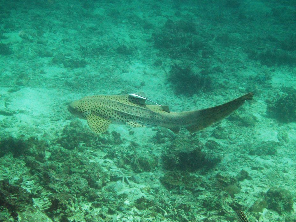 5be01baf-acc4-45db-895e-24969b656198