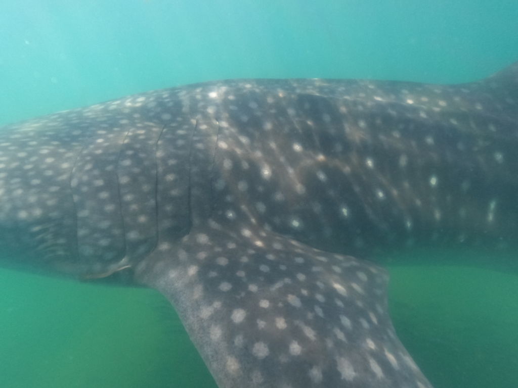 22b176ba-cc9d-48e9-8968-7fd4a7133c20