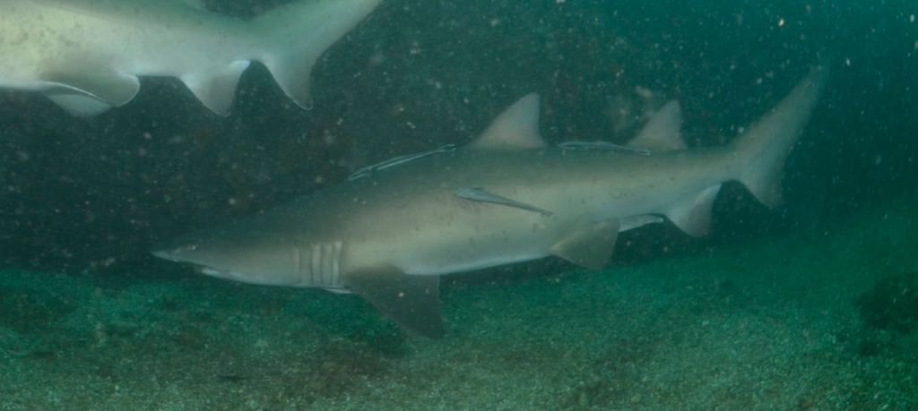 de54a36b-d70a-4050-b8b3-18705261a2b4