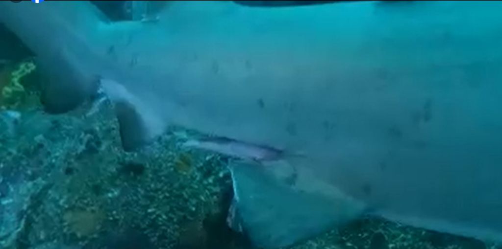 3ebde6d0-2421-484e-87d9-298aaa832d0a