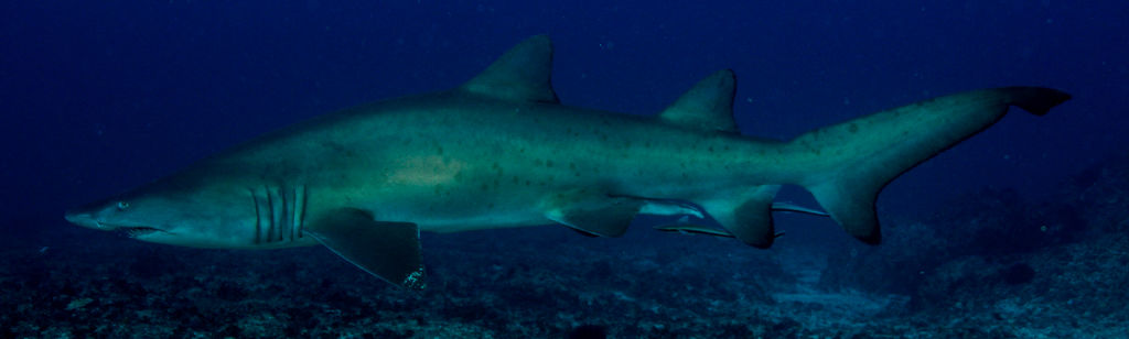 6488eb1f-8bc6-4aad-94ae-2e7460719ef0