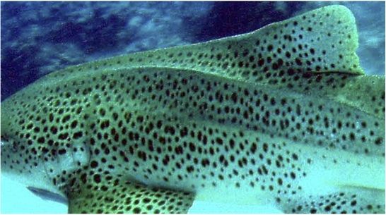 27086bbc-41e7-4b65-a3de-3438f0887c16