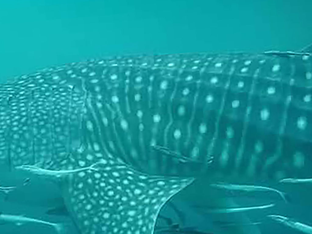 2a8c1392-6031-44fa-85d9-c6150fe811b4