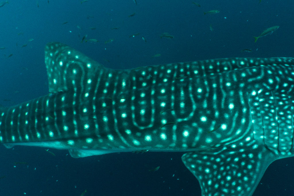 7243cfe9-6e07-45c1-bd87-ff5cc69622c7