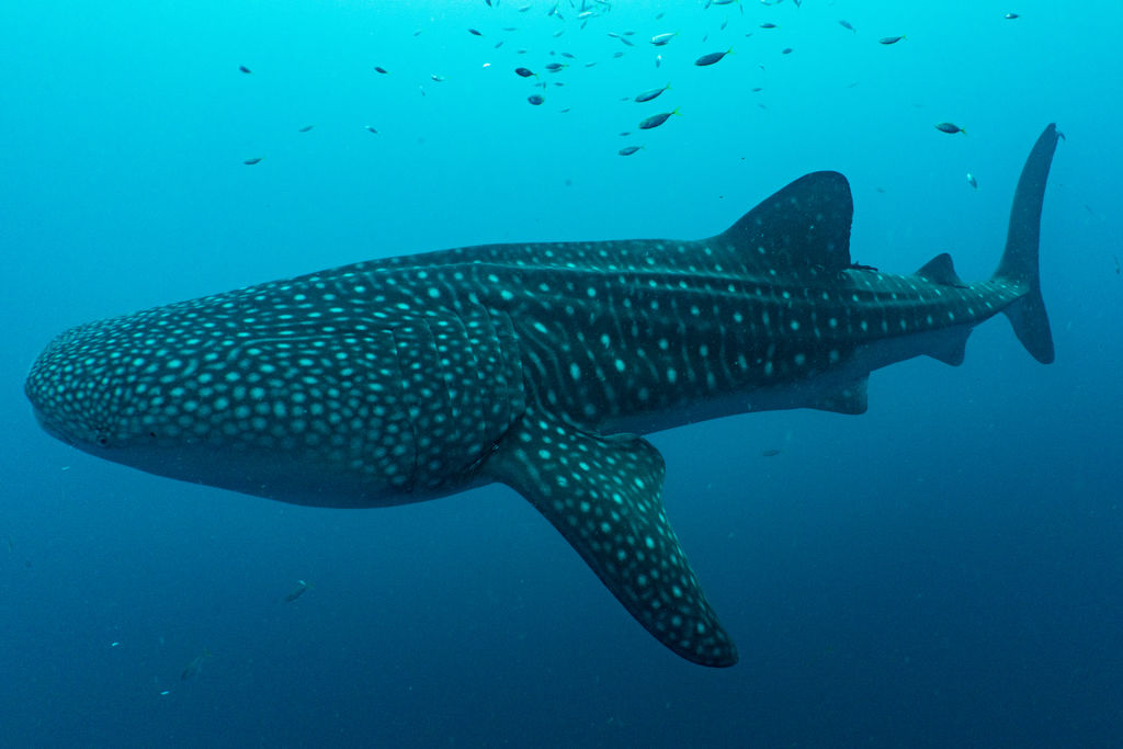 7243cfe9-6e07-45c1-bd87-ff5cc69622c7