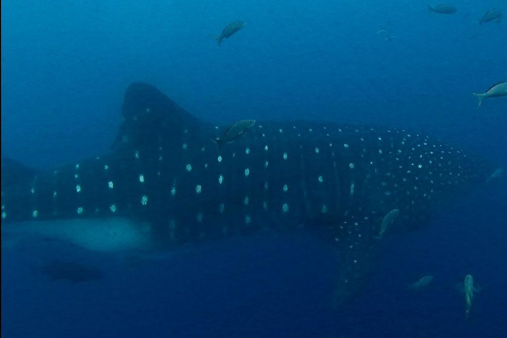 e3256740-ead9-46c3-9855-c7499bf1f435