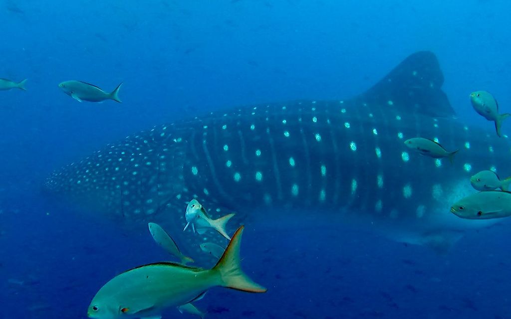 e3256740-ead9-46c3-9855-c7499bf1f435