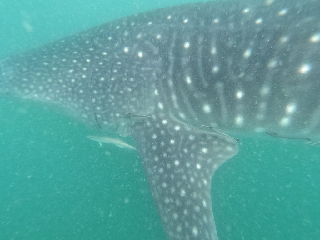 d744f4a8-abad-4ee2-ae54-09259cb11388