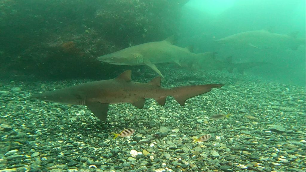 47094b36-b8b0-49a2-bc47-4eb20f0be913