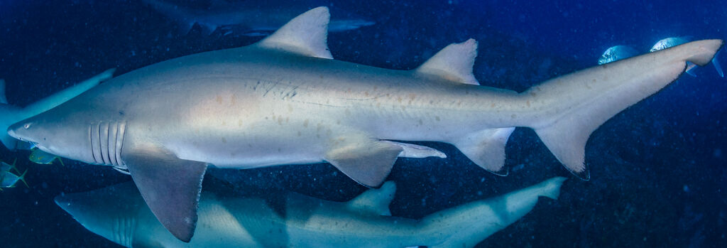 e2b0c95f-af13-478d-a864-b9a9a34bb89d