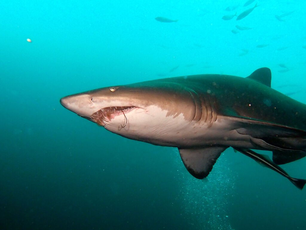 effa4ee7-a02a-4cc7-a6b9-48433957aa21