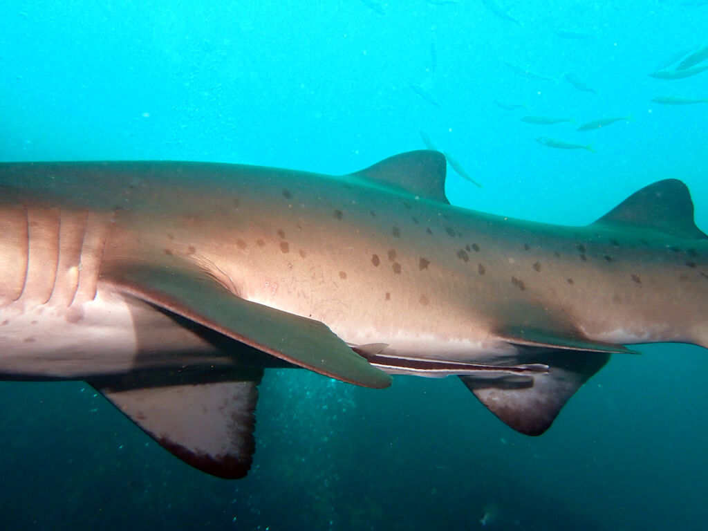 effa4ee7-a02a-4cc7-a6b9-48433957aa21