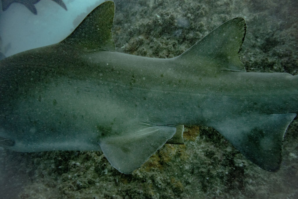 2baeec36-a40d-44db-a954-95e911c268b1