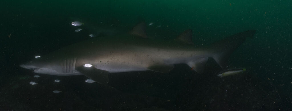 fb50d054-7ec6-47fc-ac58-ceb050860f92