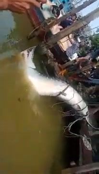 22786e69-197a-43cc-a15c-a723bc9245d4