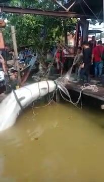 22786e69-197a-43cc-a15c-a723bc9245d4