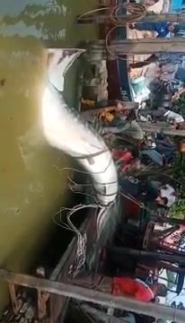 22786e69-197a-43cc-a15c-a723bc9245d4