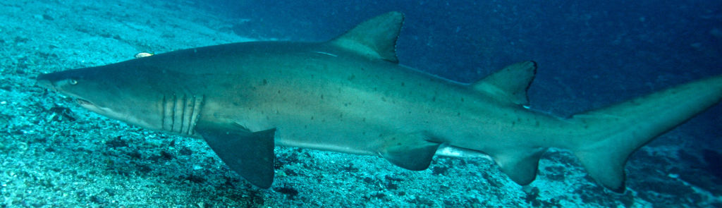 f053d305-45b7-4e2f-8977-b9706c884066