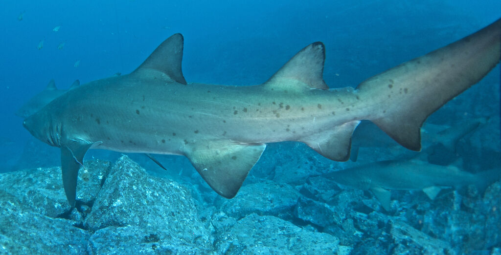 048d6636-d838-401b-9dba-44c3d76cb261