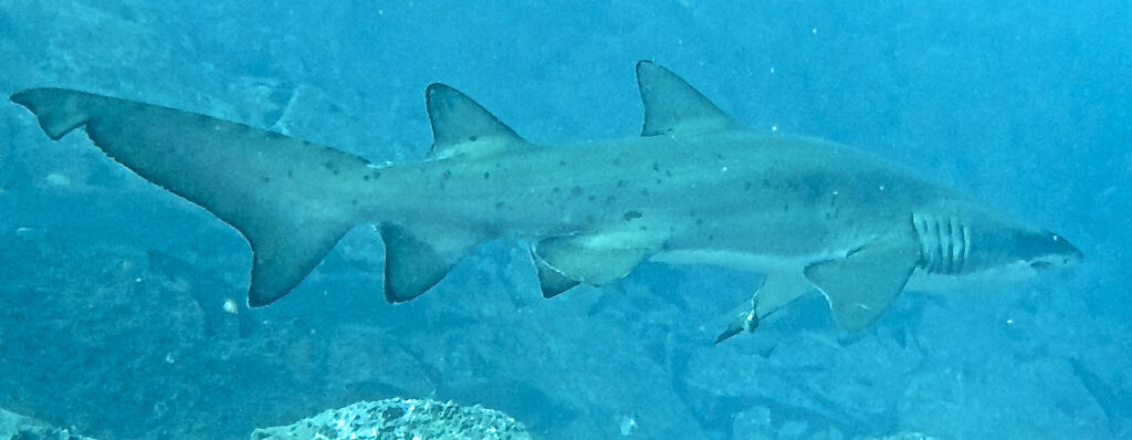 048d6636-d838-401b-9dba-44c3d76cb261