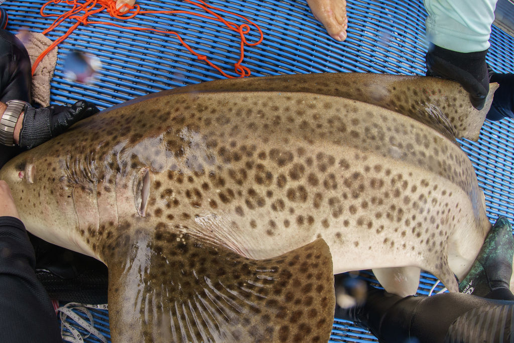 b7942a06-f83e-45c3-bae6-8eec8d643b3b