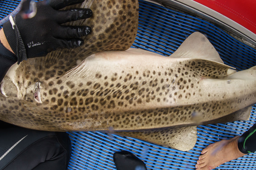 b7942a06-f83e-45c3-bae6-8eec8d643b3b