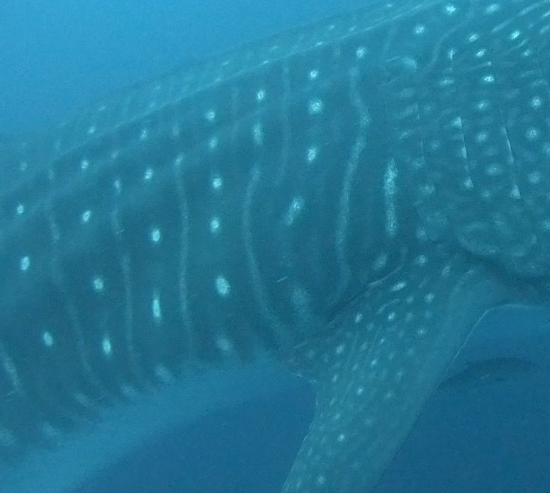 bcb9a826-9d36-441a-9b64-1c5eb8c99363