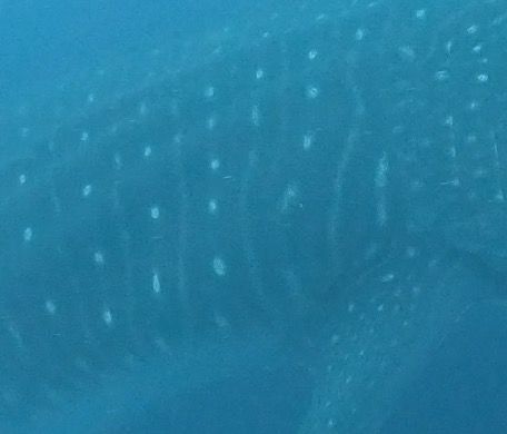 bcb9a826-9d36-441a-9b64-1c5eb8c99363