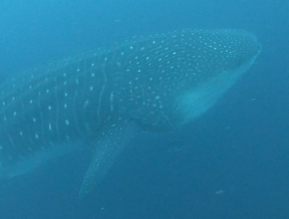 bcb9a826-9d36-441a-9b64-1c5eb8c99363