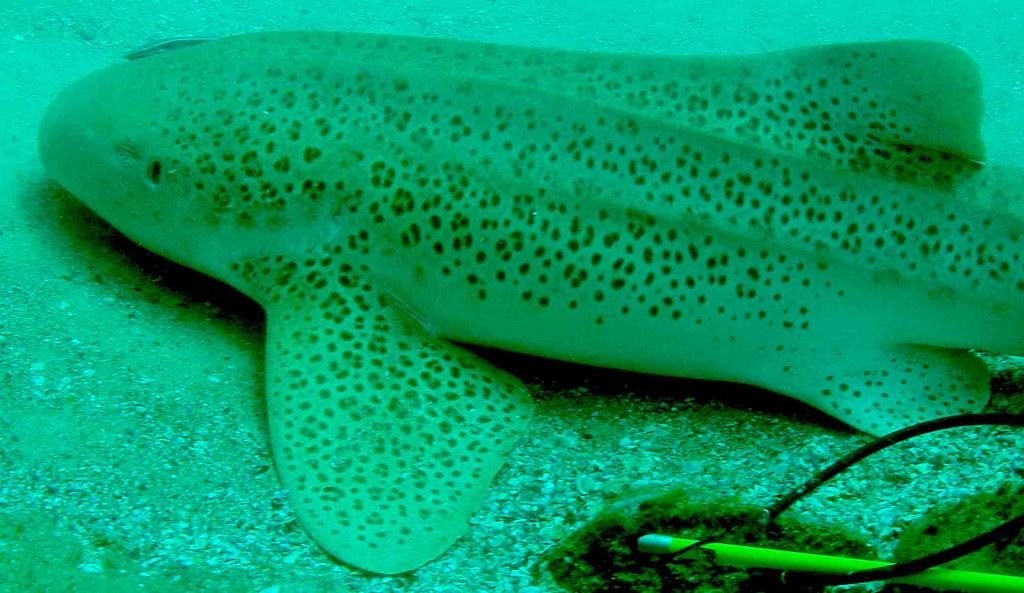 f8ddb3a7-8377-44be-85e0-104ffdab8fd7