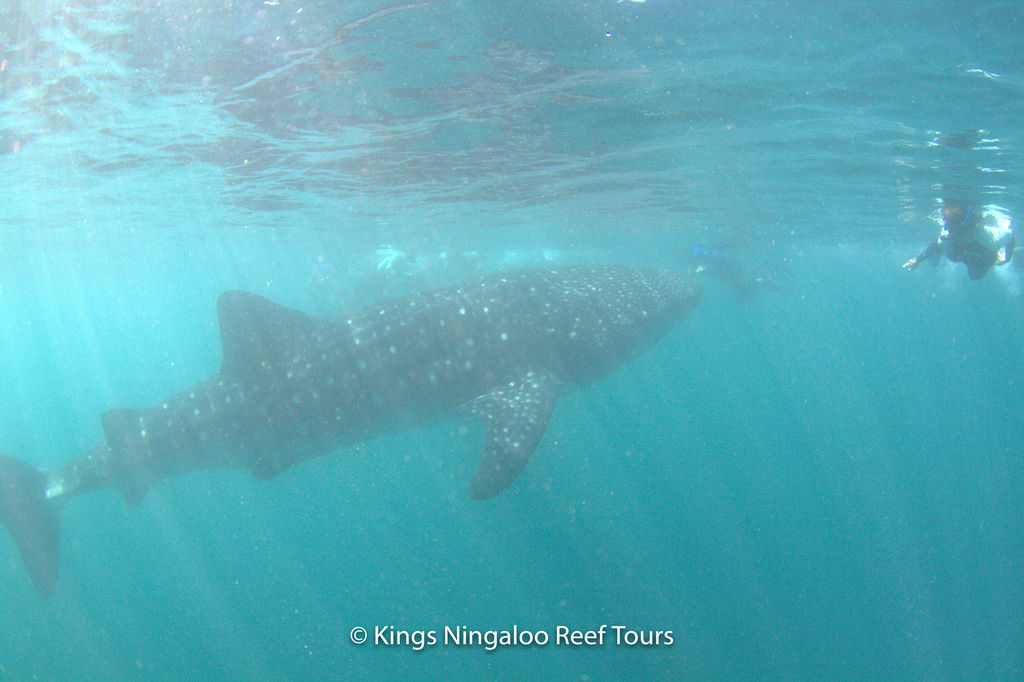 2f961931-6386-41e1-bfa0-936dbd4a30db