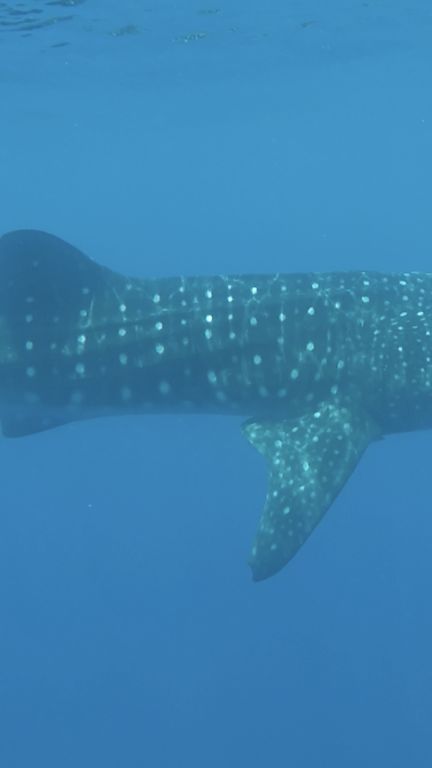 e200a963-999c-4edb-8149-33377c2c6ff8