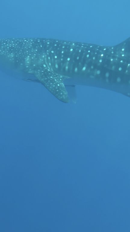 e200a963-999c-4edb-8149-33377c2c6ff8