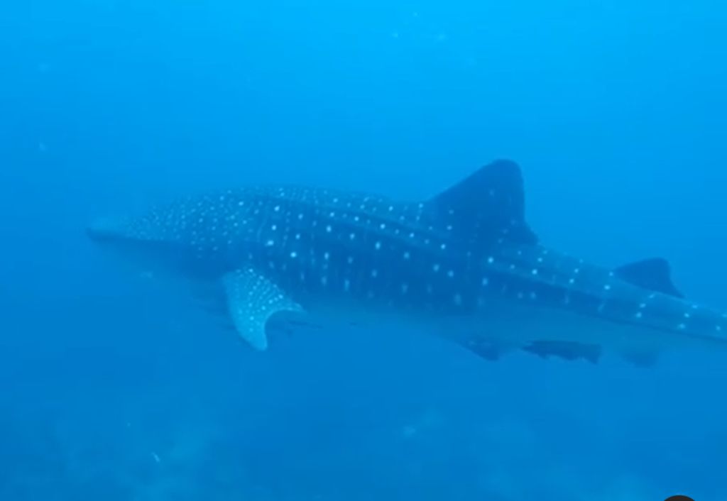 d0aeab39-dadc-4f7c-95ef-7a623651bdfe