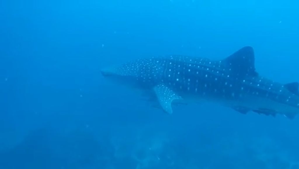 d0aeab39-dadc-4f7c-95ef-7a623651bdfe